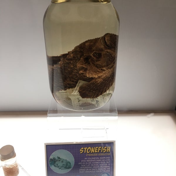 7/27/2019에 Tiff C.님이 Birch Aquarium에서 찍은 사진