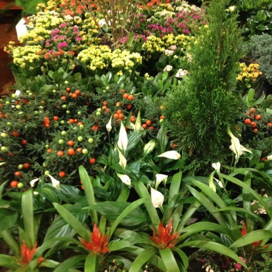 Sultan Garden Center Ø­Ø¯Ø§Ø¦Ù Ø§ÙØ³ÙØ·Ø§Ù