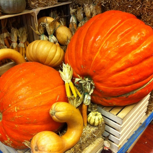 10/14/2012 tarihinde James H.ziyaretçi tarafından Flatbush Food Coop'de çekilen fotoğraf