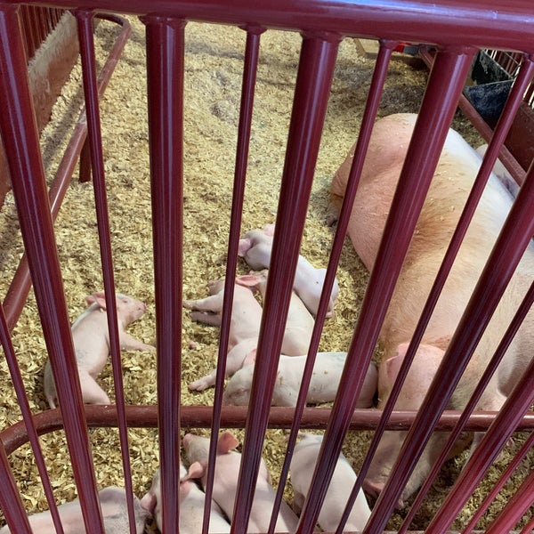 Indiana State Fairgrounds Swine Barn 1202 E 38th St