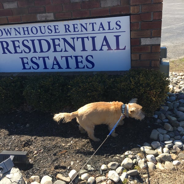 Guilderland, NY 3 tips