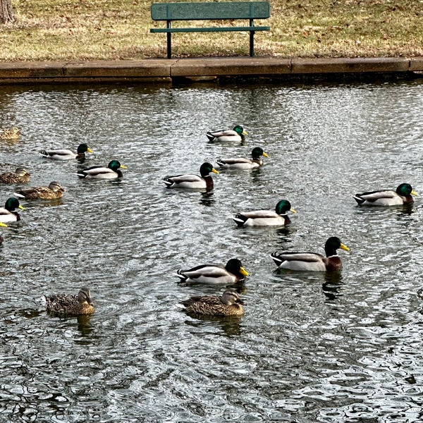 Willmore Park Park in St. Louis