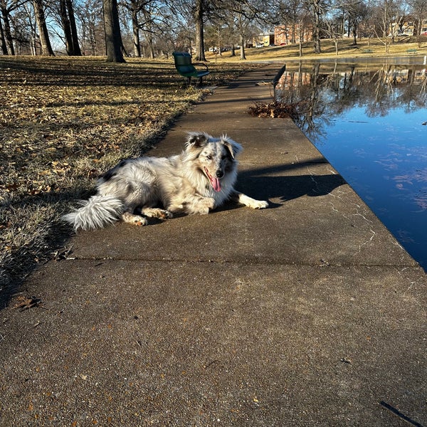 Willmore Park Park in St. Louis