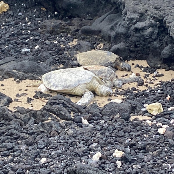 Photo taken at Lava Lava Beach Club by Cory M. on 3/29/2022