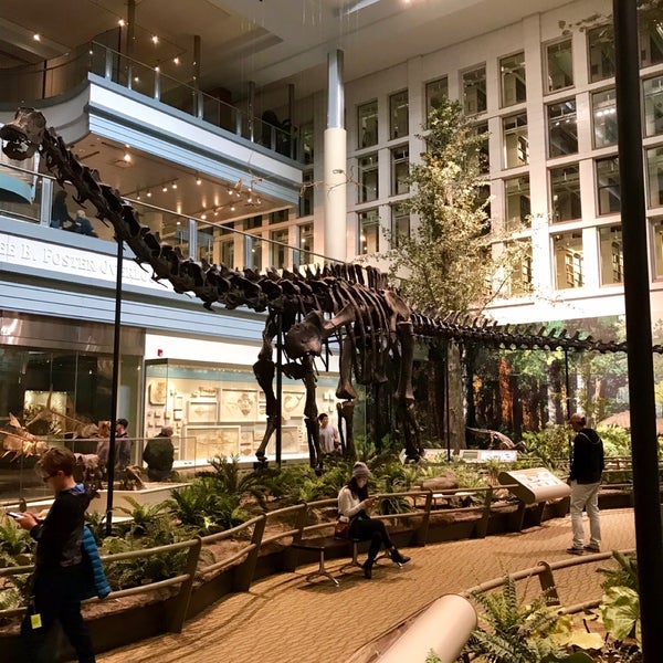 Foto diambil di Carnegie Museum of Natural History oleh Jenna Z. pada 10/13/2018