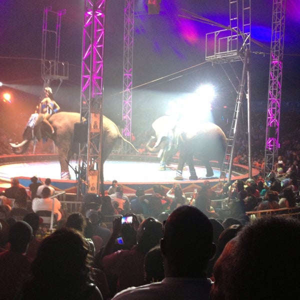 Universoul Circus 3 tips from 51 visitors