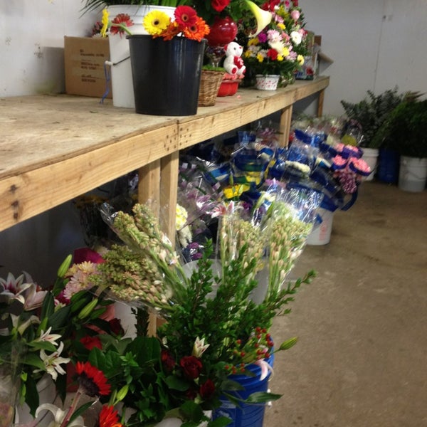 Photos at Fannin Flowers Inc 4803 Fannin St