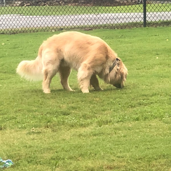 Sandy Springs Dog Park 3 tips from 156 visitors
