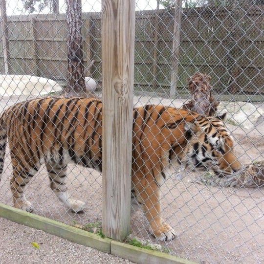 Photo taken at McCarthy&#39;s Wildlife Sanctuary by Kimberly D. on 1/31/2013