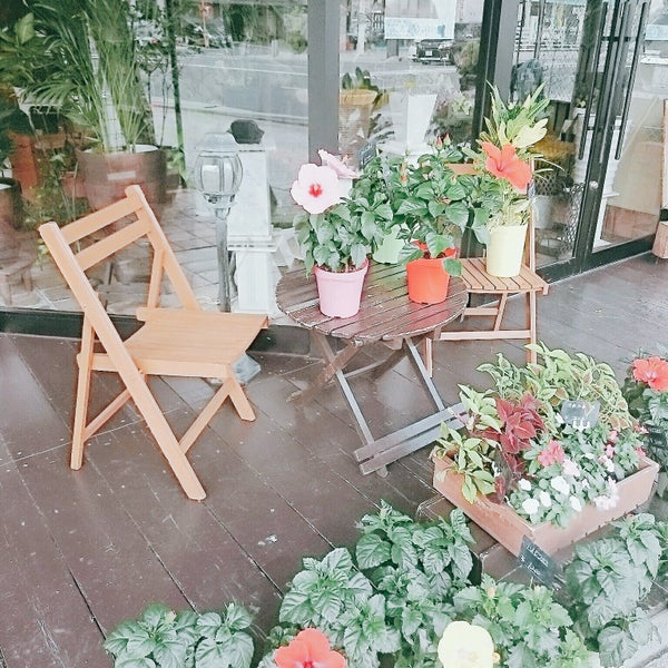 Photos At 花いちば 奈良市 奈良県