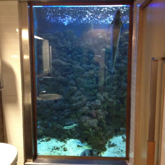 Love the aquarium in the bathroom angle, but please ensure the fish are alive