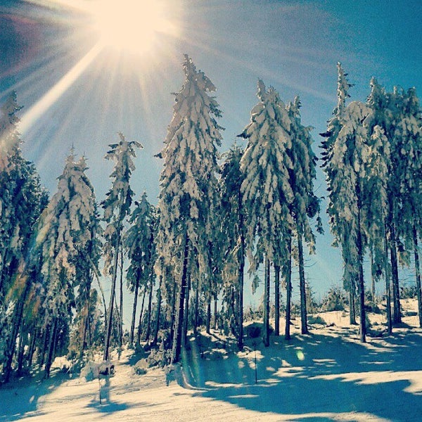 Лыжи жизнь роща чай. Домашнее задание по русскому языку упражнение 22. Лыжи для леса. Лыжи жизнь роща чай. Способы проверки безударных гласных 2 класс.
