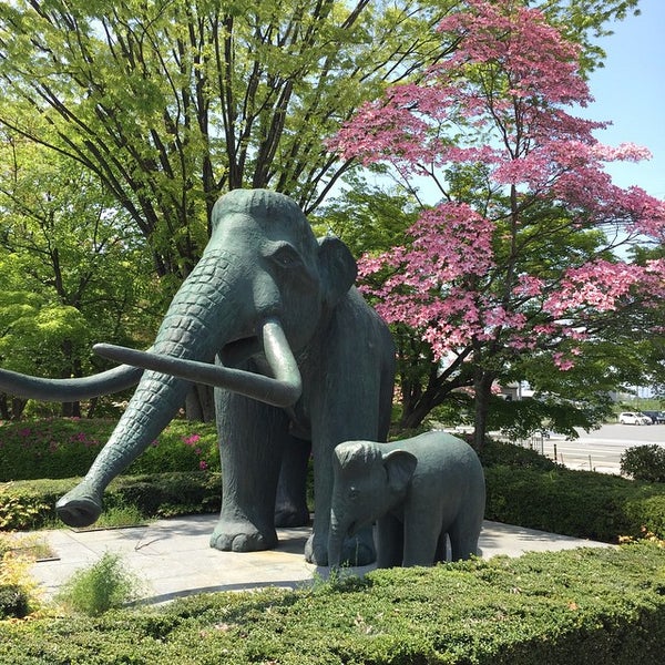 Photos At 山梨県立考古博物館 History Museum