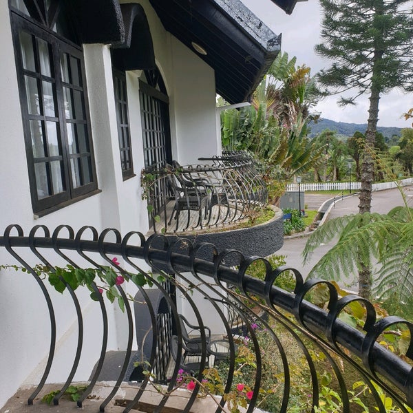 Эко парк земляничный гремячки. Эко парк земляничный гремячки. Нижегородская 6 чебоксары балкон кафе. Эко парк земляничный гремячки. Эко парк земляничный гремячки.