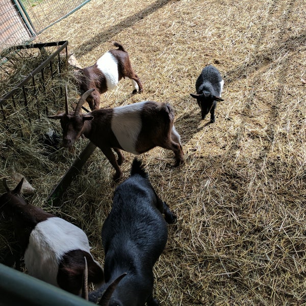 Iron Kettle Farm Farm