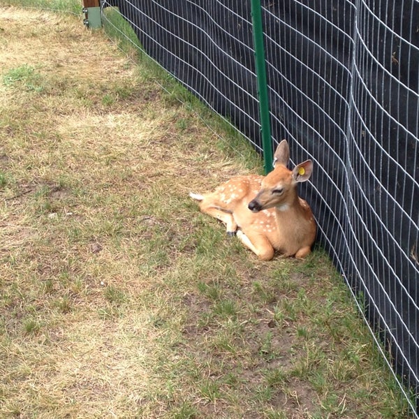 Jr's Petting Zoo Waupaca, WI