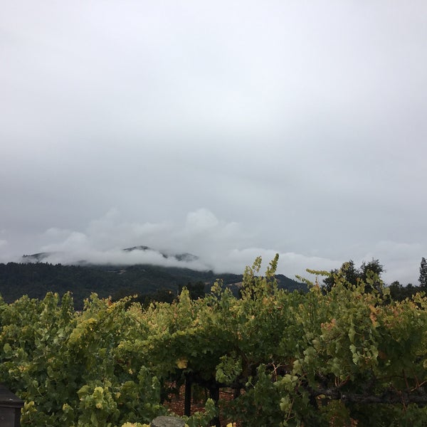 Photo taken at Cakebread Cellars by Gus Z. on 10/3/2016