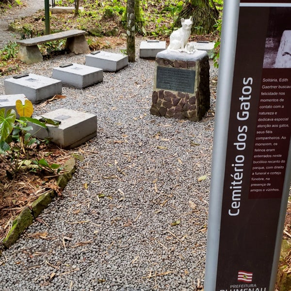 G1 - Cemitério de gatos em SC esconde história de atriz, da fama à