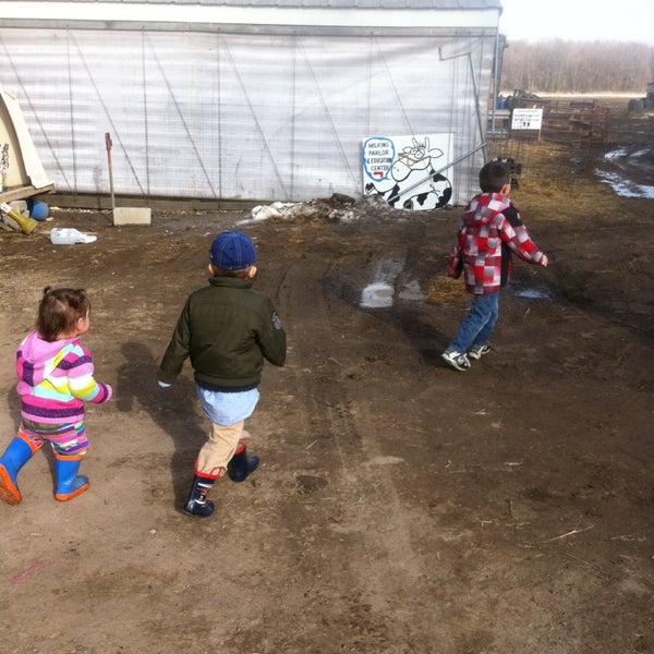 Calder Dairy and Farms Farm in Carleton
