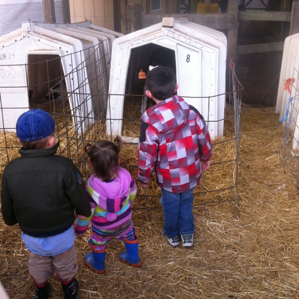 Calder Dairy and Farms Farm in Carleton