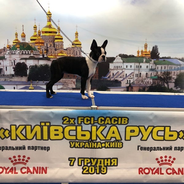 Photo taken at The International Exhibition Centre by Bohdan K. on 12/7/2019