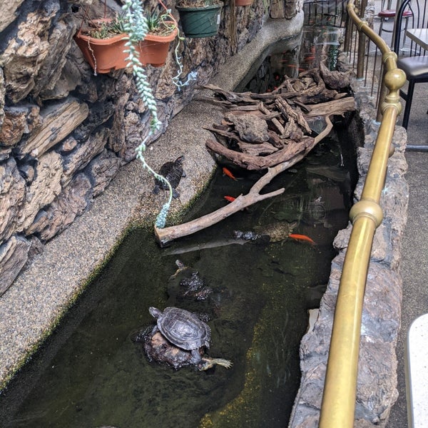 Pacific Car Wash Irvington 41080 Trimboli Way