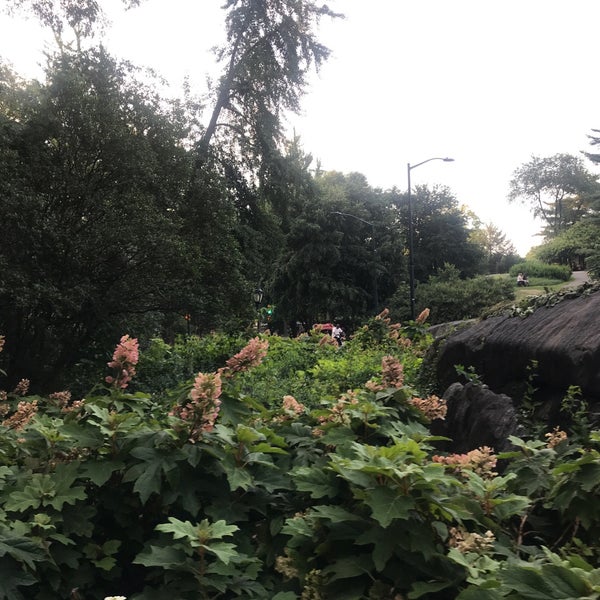 Central Park Dog Square Central Park 59th St