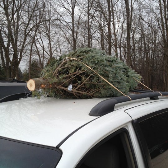 Trees For Less Nursery Mequon, WI