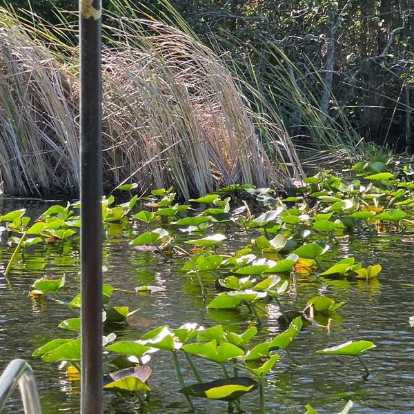 รูปภาพถ่ายที่ Everglades Holiday Park โดย Pete S. เมื่อ 12/9/2020