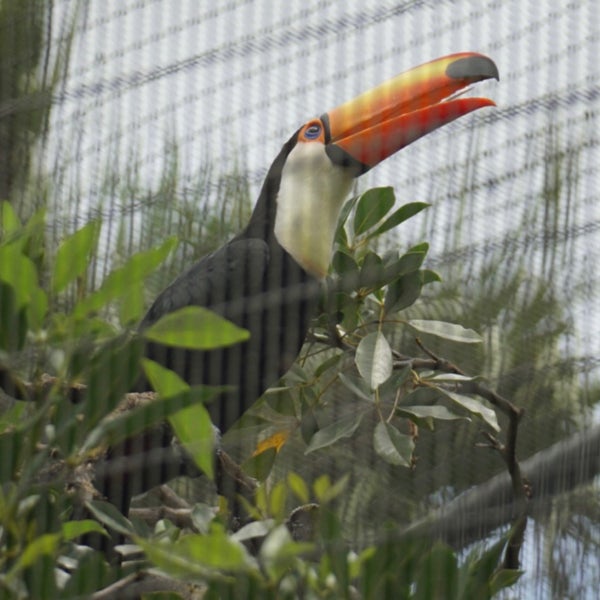 Das Foto wurde bei Honolulu Zoo von ハ チ. am 5/7/2021 aufgenommen