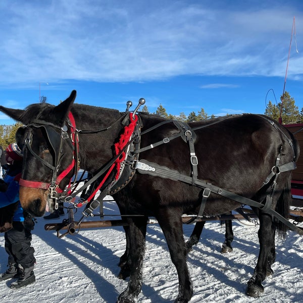 Two below zero Sleigh Ride - Mountain in Frisco