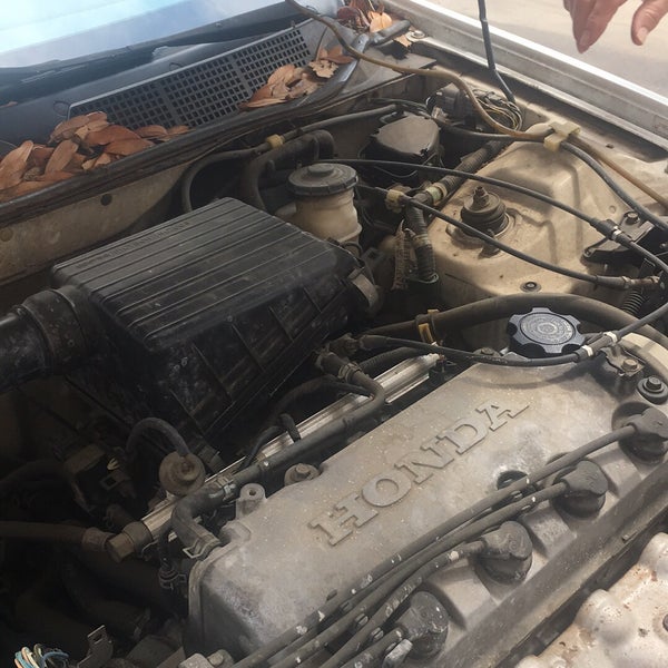 Advance Auto Parts Austin, TX