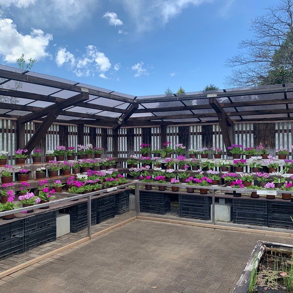 さいたま市園芸植物園 Botanicheskij Sad V 緑区 さいたま市園芸植物園 Botanicheskij Sad V 緑区