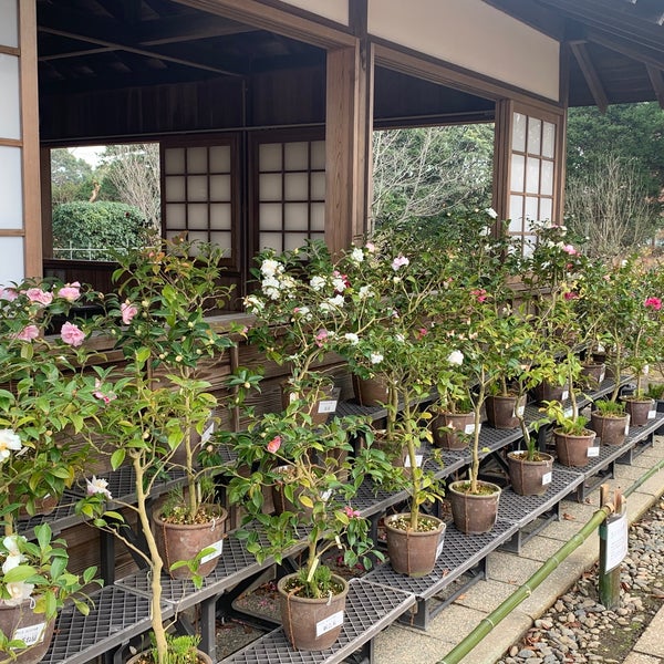 Photos At くらしの植物苑 佐倉市 佐倉市 千葉県