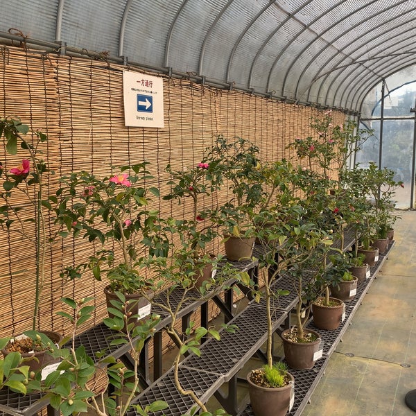 Photos At くらしの植物苑 佐倉市 佐倉市 千葉県