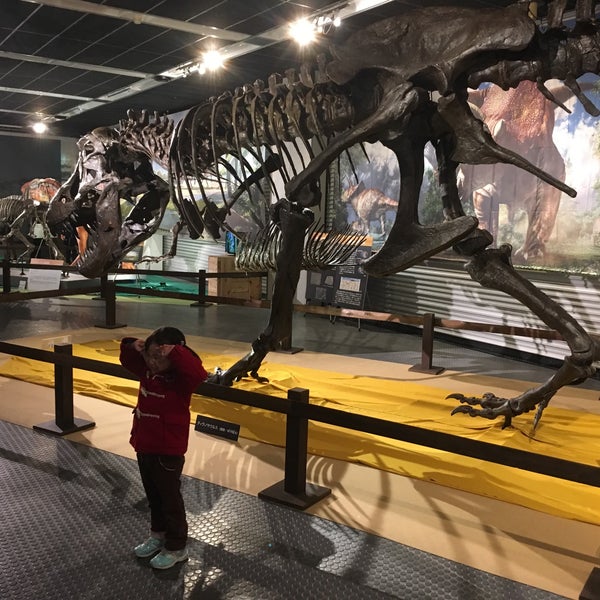 ディズニーストア Jugueteria