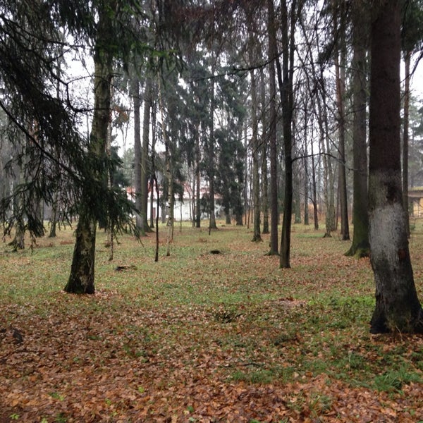 Парк подлипки королев. Подлипки дачные старые фото. Санаторий подлипки. Платформа подлипки дачные. Лесная подлипки.