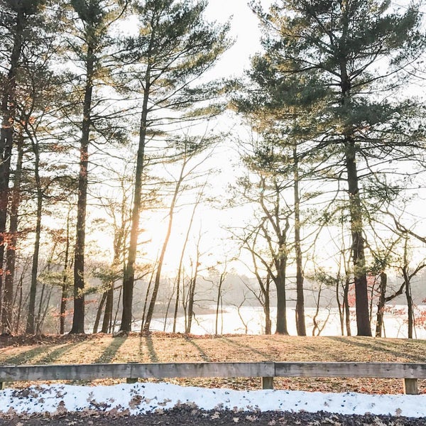 The Cove (Auburndale Playground) 6 tips from 199 visitors