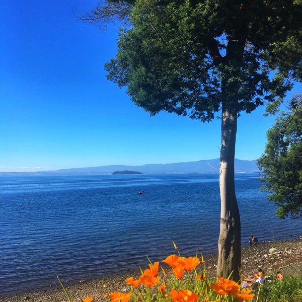 Playa Principal de Lago Ranco - Beach in Lago Ranco