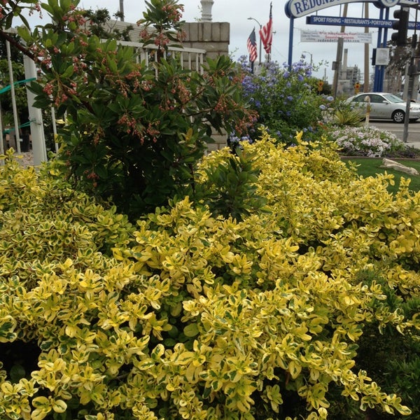 Peter's Garden Center South Redondo Beach Redondo Beach, CA