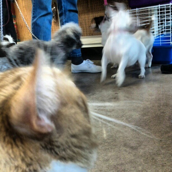 Keystone Pet Place Pet Supplies Store