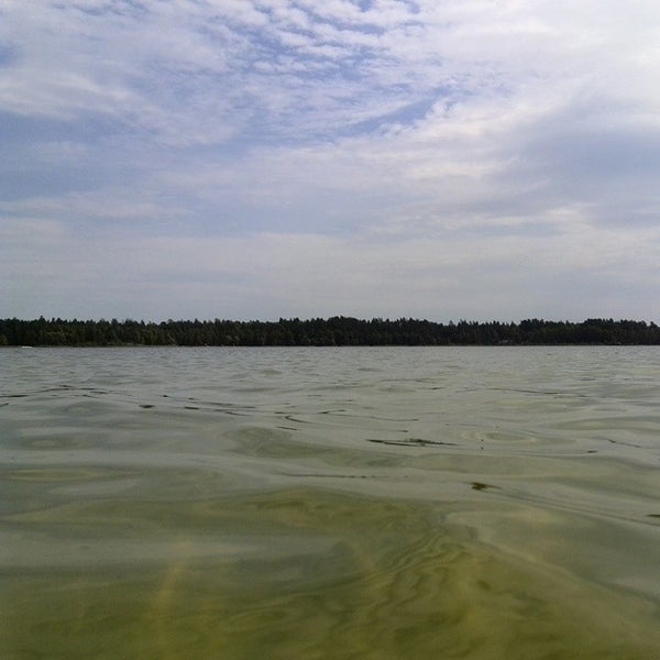 Augustow Primeval Forest - Lets Travel More