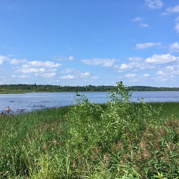 Photos at Орлинское озеро