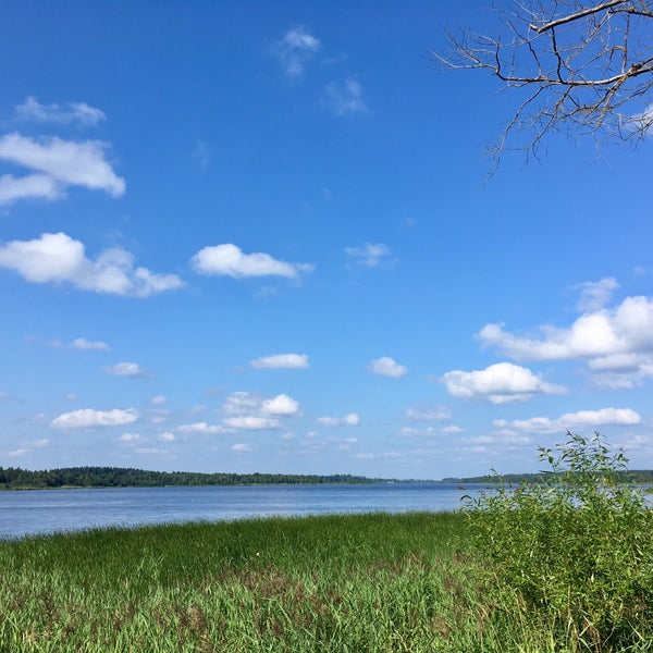 Орлинское озеро и село Орлино, Гатчинский район Другие места Дзен