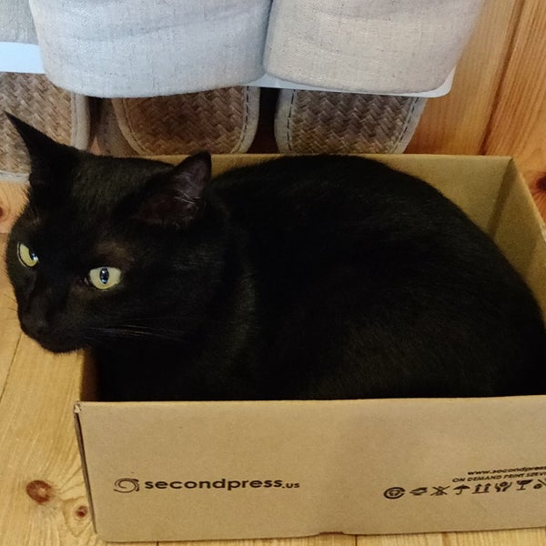 Photos At Cat Cafe ねこびやか 姫路市 兵庫県