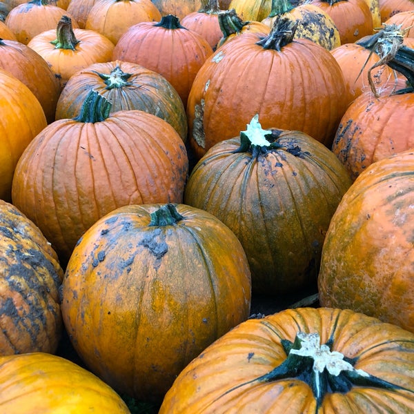 Hahn Farm 144 visitors