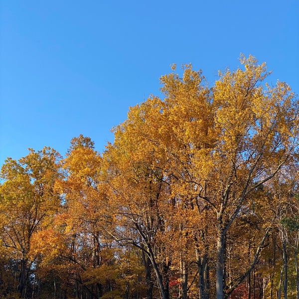 Smith Mountain Campground Penhook, VA