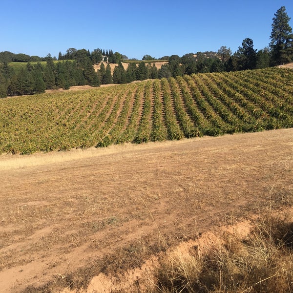 Driven Cellars 4 tips