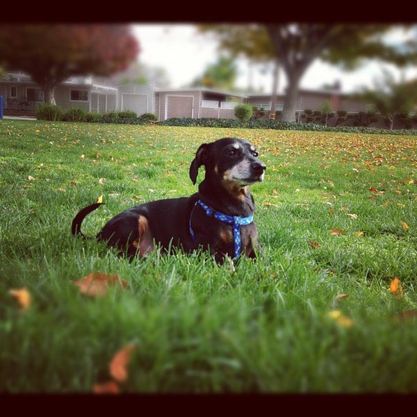 Rosemary Gardens Park North San Jose 3 tips