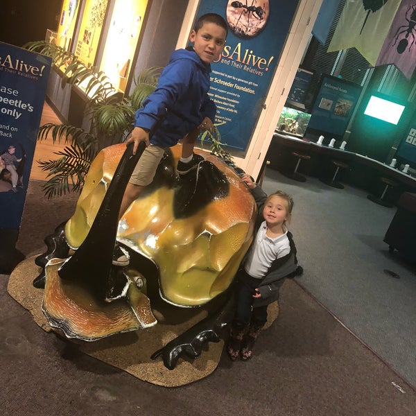 Photo taken at Milwaukee Public Museum by Victoria W. on 11/1/2018